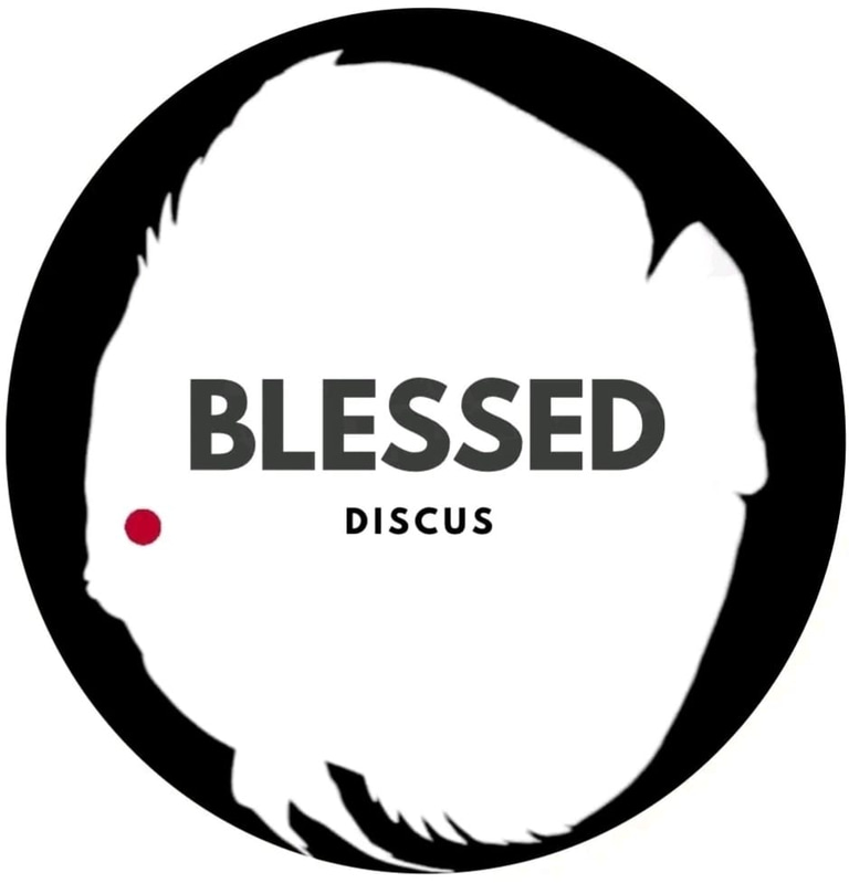 Blessed Discus logo