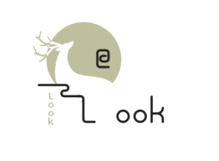 His Ray of Sunshine Inc logo