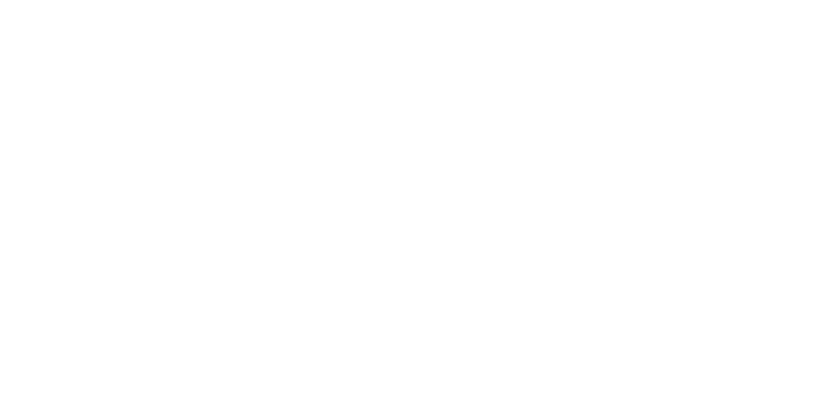 Castorly logo