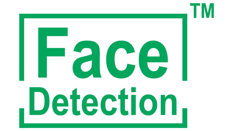 FACE DETECTION logo