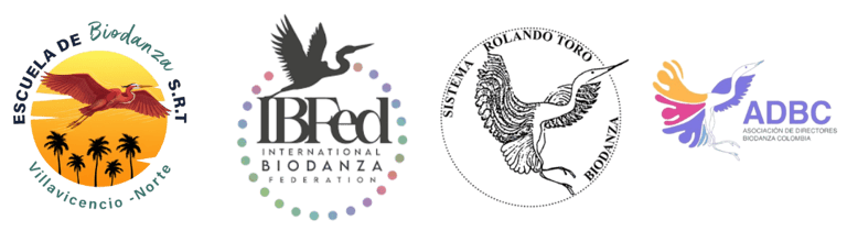 Escuela Biodanza Villavicencio logo