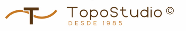 TopoStudio logo