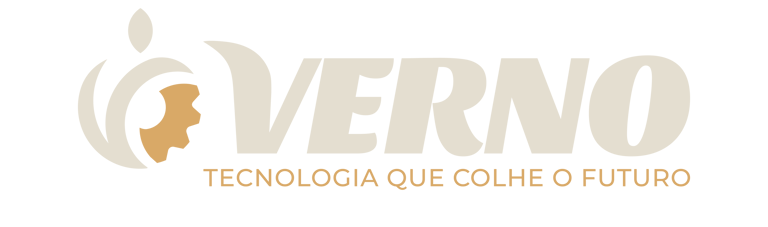 VERNO logo