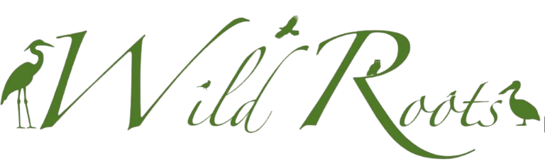 Wild Roots logo