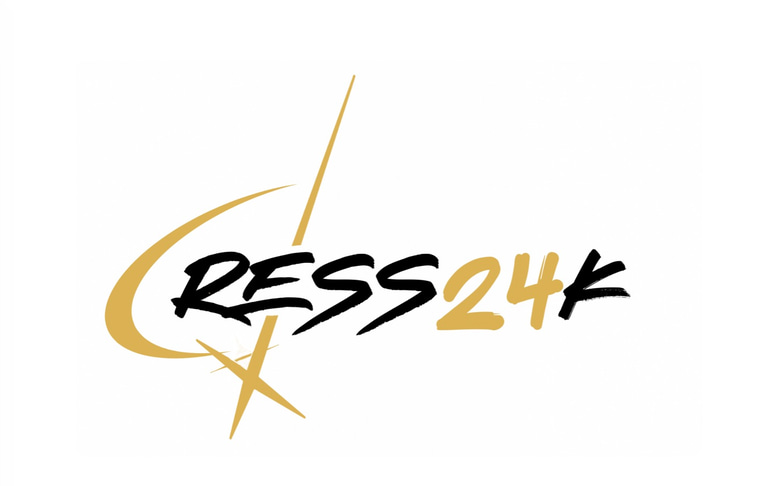 dress24k logo