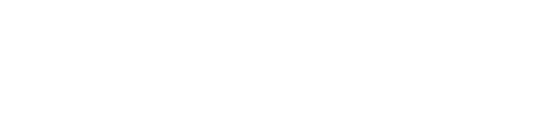 Art of Leadership logo