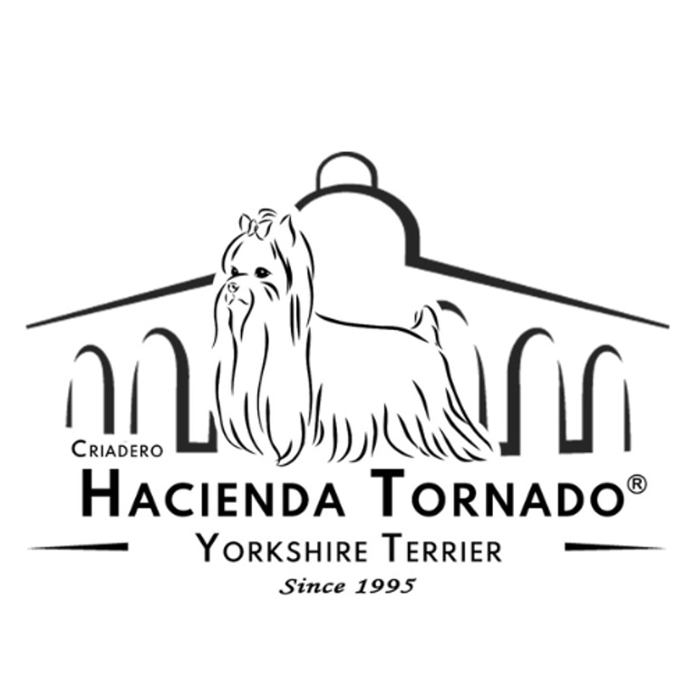 Hacienda Tornado logo