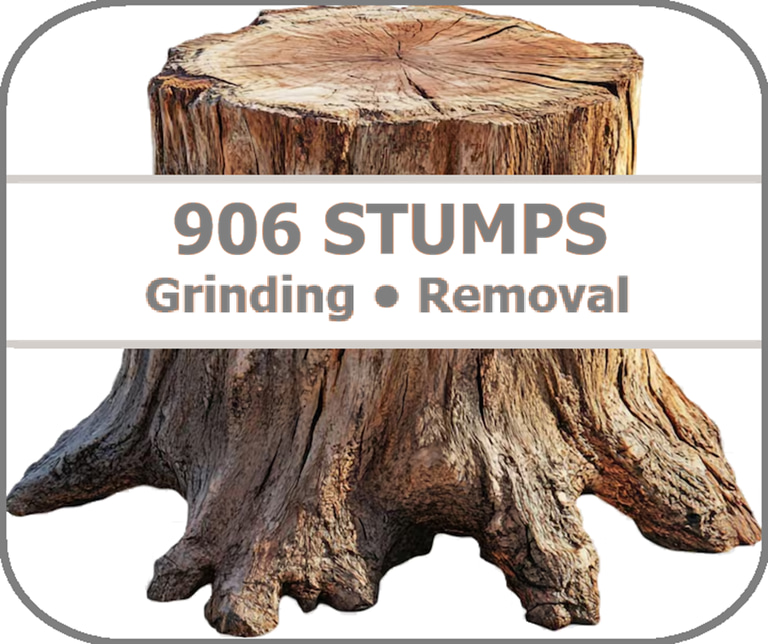 906 Stumps logo