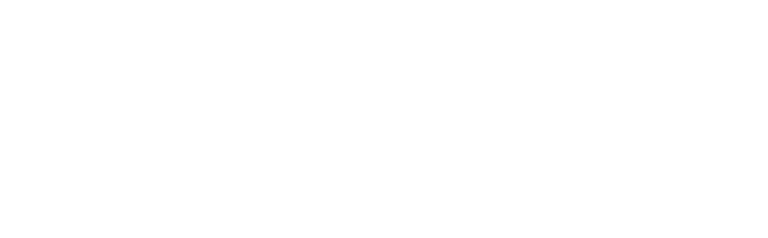 Via Consig logo