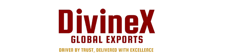 DivineX Global Exports logo