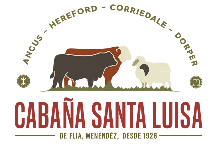 CABAÑA SANTA LUISA logo