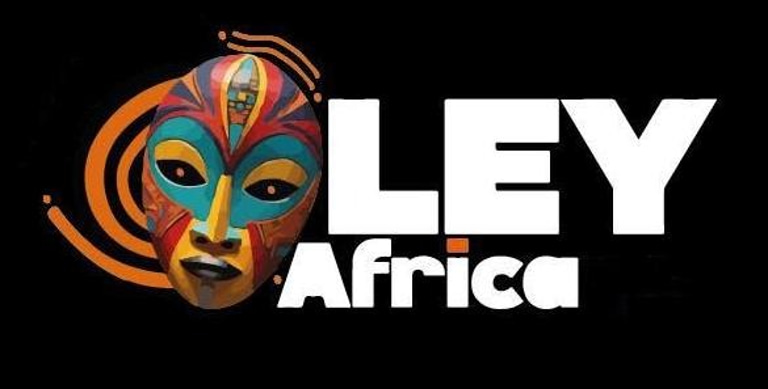 Promouvoir la richesse culturelle africaine en France et en Afrique logo