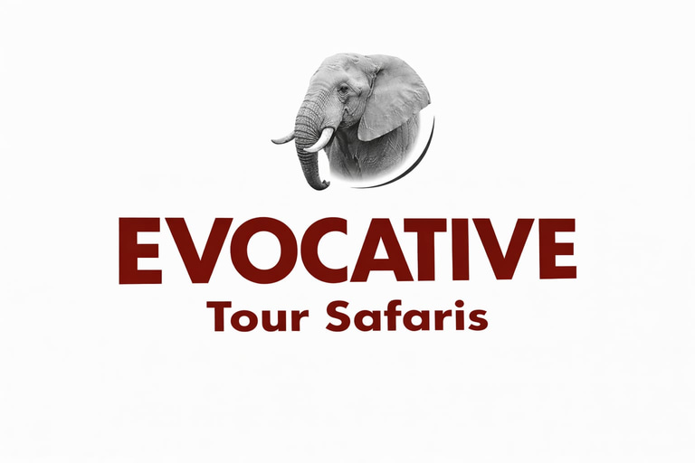 Evocative Tour Safaris logo