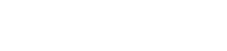 Buena Vista Wealth Management logo