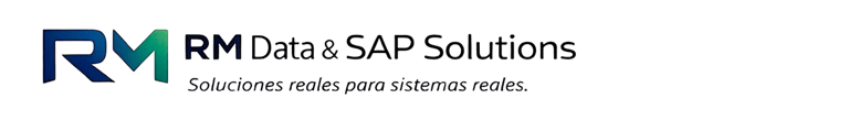 RM Data & SAP Solutions logo
