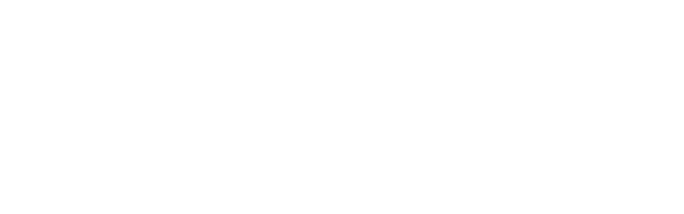 D-experts logo