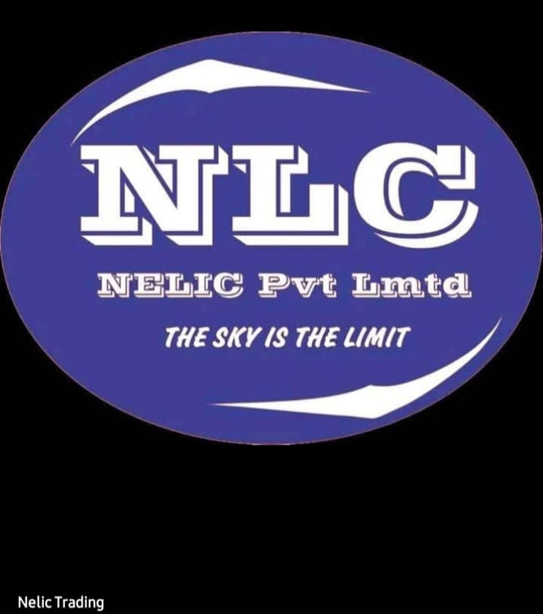 Nelic Trading logo
