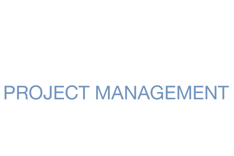 BAU PLAN Project Management logo