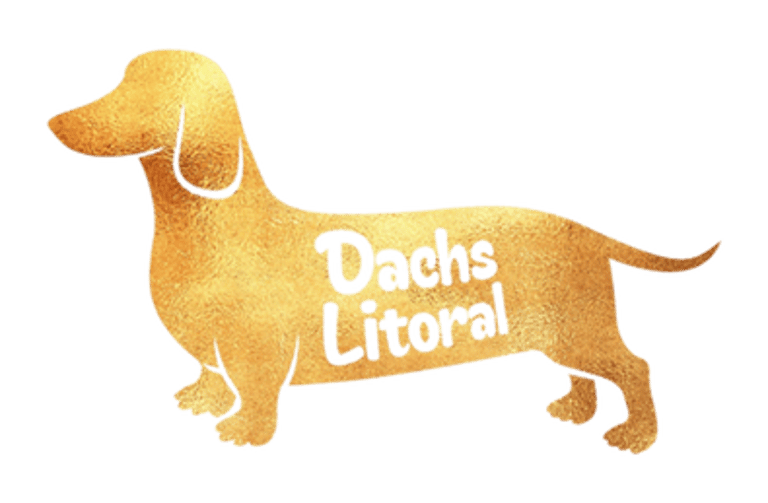 Dachs Litoral logo
