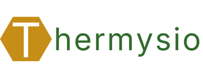 Thermalyse logo