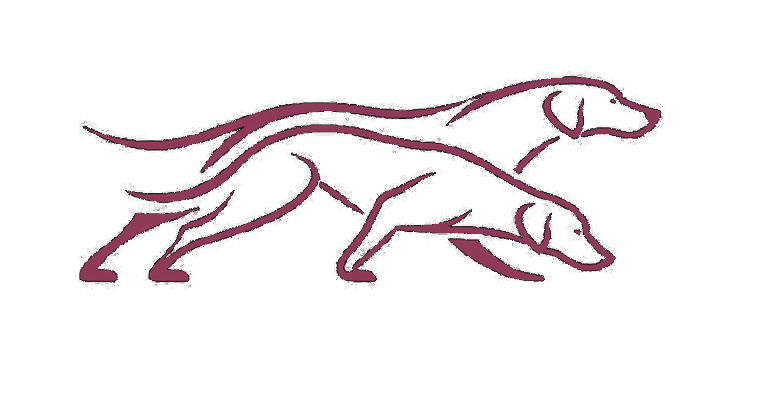 perros en marcha logo