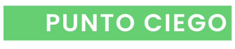PUNTO CIEGO logo