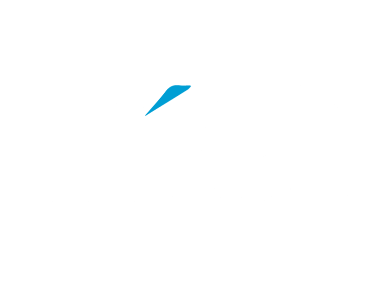 Vyon logo