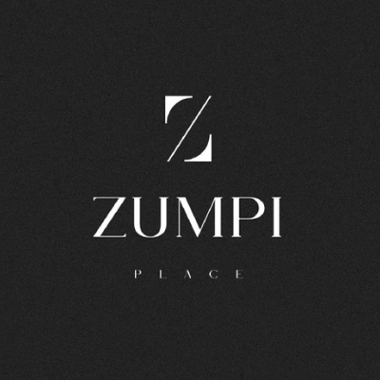 ZUMPI PLANCE logo