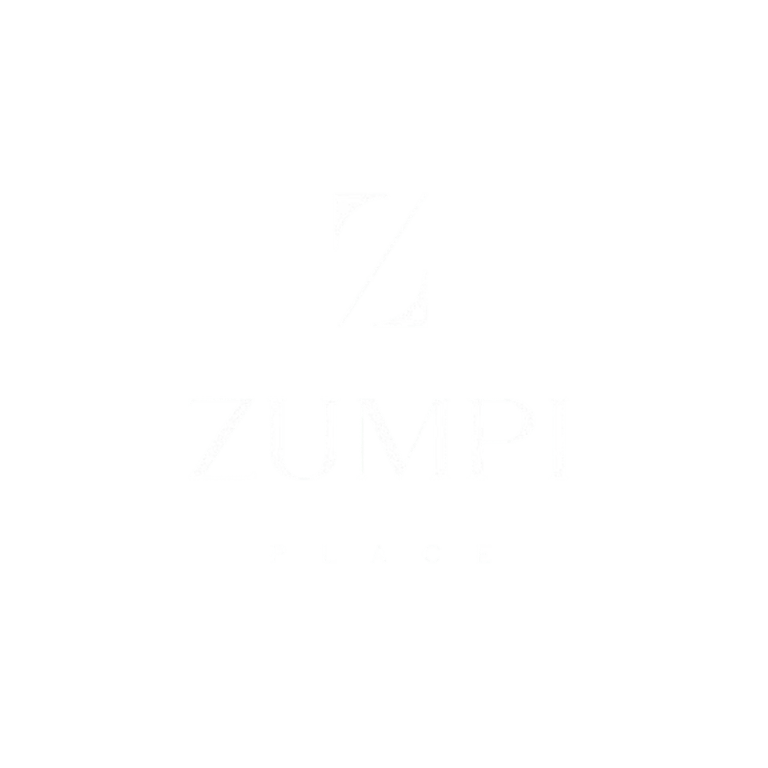 ZUMPI PLANCE logo