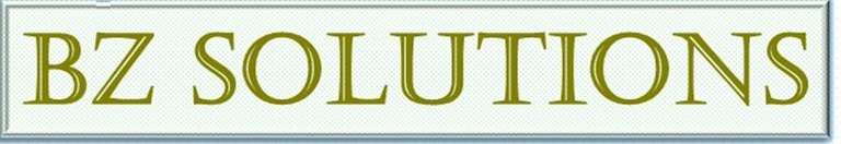 BZ Solutions logo
