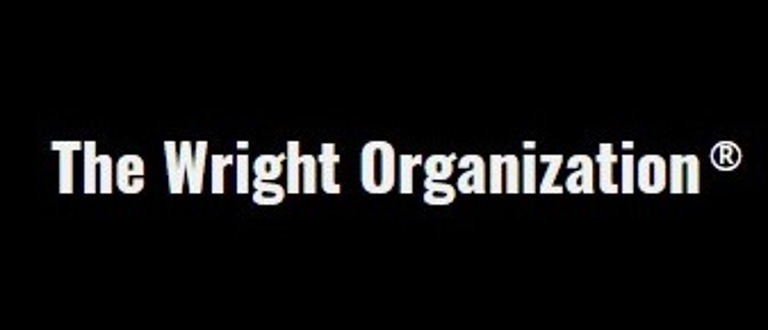 The Wright Organization LLC. - Holding Company logo