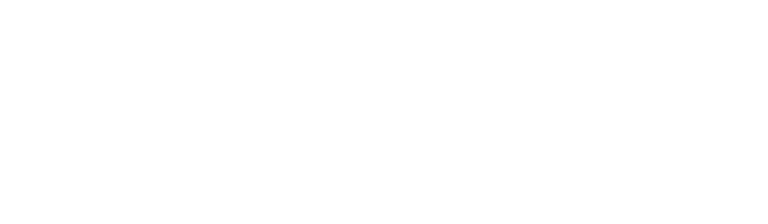 BARQ SAFWA TRADING LLC logo