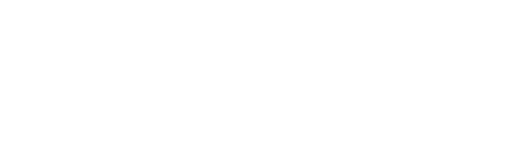 VALA CO logo