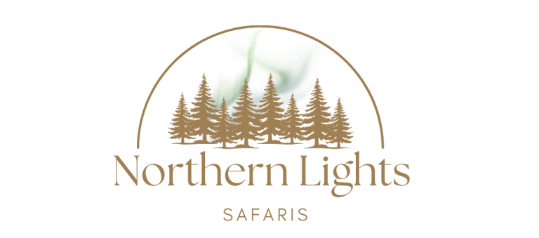 Northern Lights Safaris logo