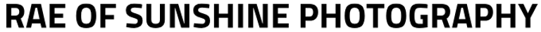 RAE OF SUNSHINE PHOTOGRAPHY logo