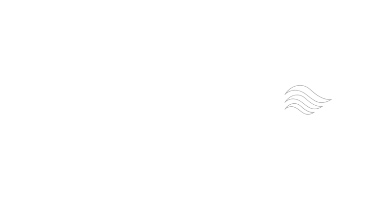 garulygintuvai.lt logo