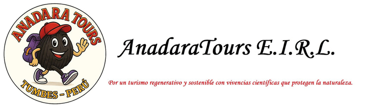 Anadara Tours logo