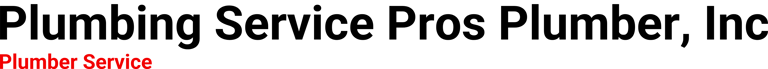 Plumbing Service Pros Plumber, Inc logo