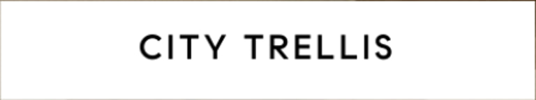 CityNest Collective logo