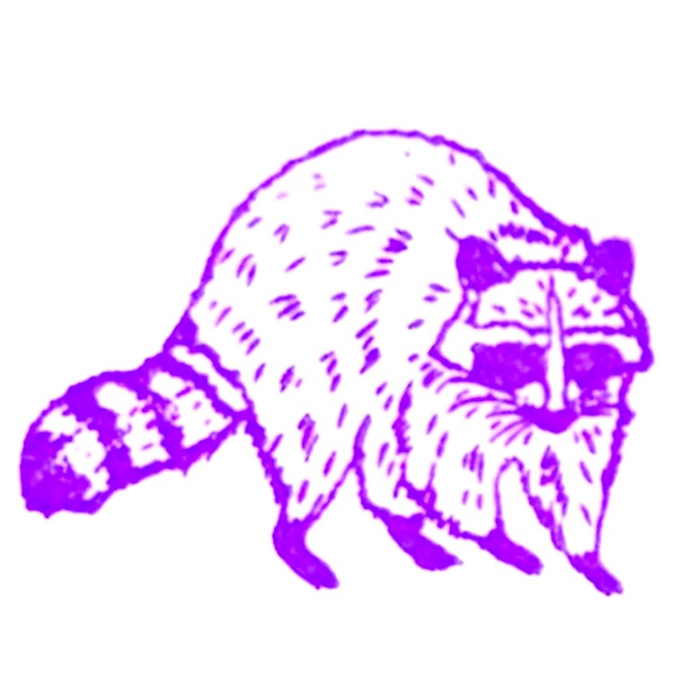 Hot Garbage Studio logo