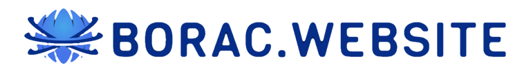 Borac.website logo