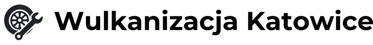 Wulkanizacja Katowice - Well Delivered logo