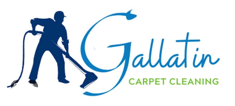 Luiggis Carpet Cleaning logo