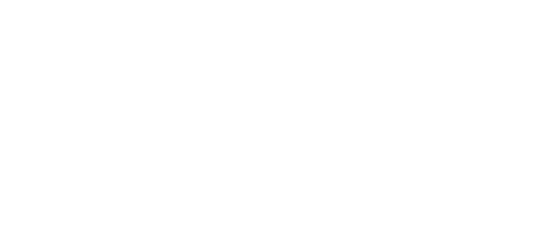 Instituto Ana Barros logo