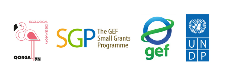 Qorgaljyn Climate School logo