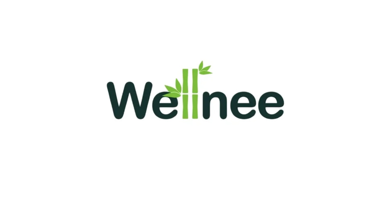 Wellnee Knee Brace logo