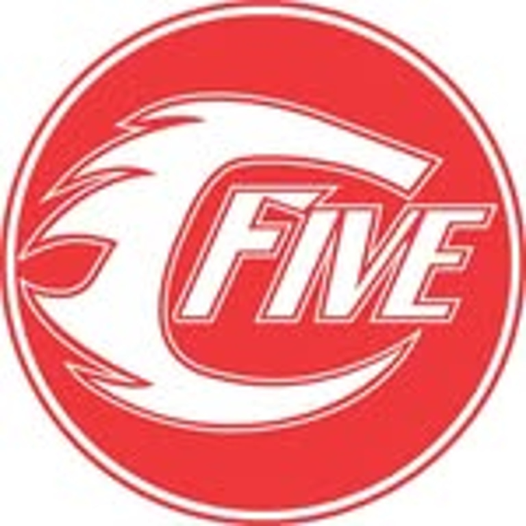 Category 5 Training logo