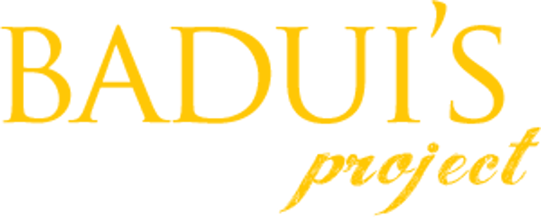 BADUIS PROJECT logo