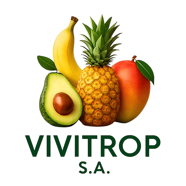 Vivitrop S.A logo