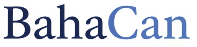 BluePulse Digital logo